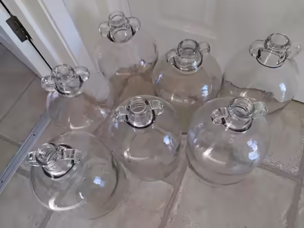 Photo of free 7 x Demijohn fermenting bottles (Welwyn AL6) #2
