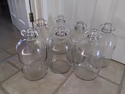 Photo of free 7 x Demijohn fermenting bottles (Welwyn AL6) #1