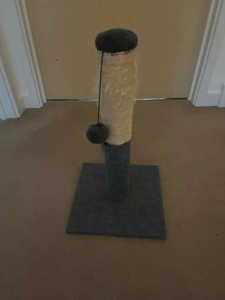 Photo of free Scratching Post (3a Portnalls Road CR5 3D) #1