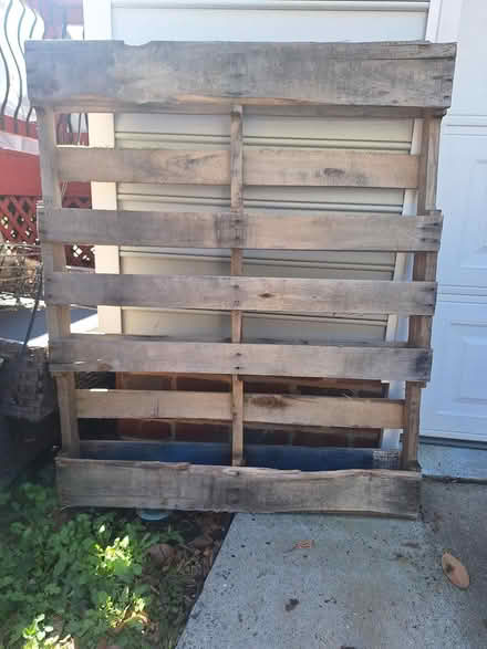 Photo of free Wood pallet (Apex) #1