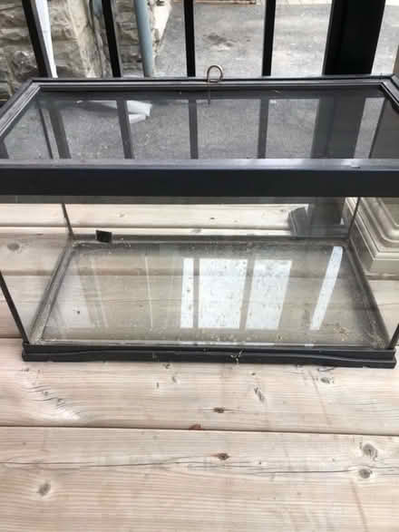 Photo of free 10 Gal terrarium still needs a home (Golden Triangle) #3