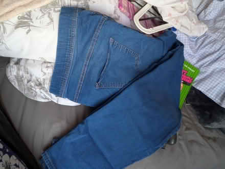 Photo of free Ladies denim jeggings (Freehold LA1) #1