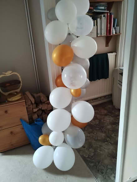 Photo of free Balloons (Crowthorne RG45) #1