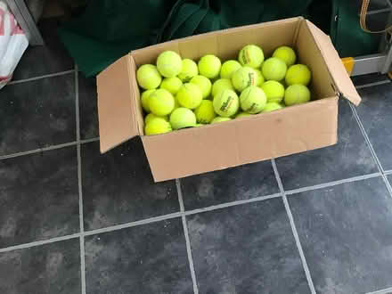 Photo of free Large box of used tennis balls (Southfields SW19) #1