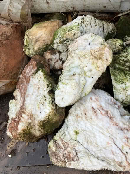 Photo of free White quartz rock bundle (Hardhorn FY6) #1