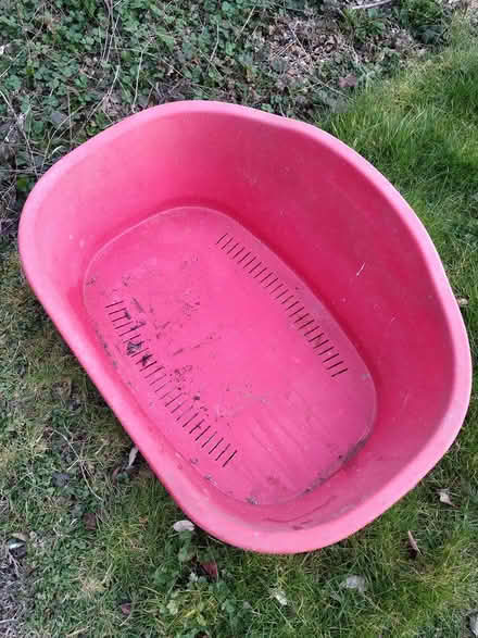 Photo of free Dog bed (Colebatch) #1