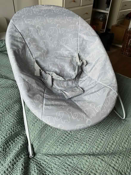 Photo of free Baby Bouncer (N1) #1