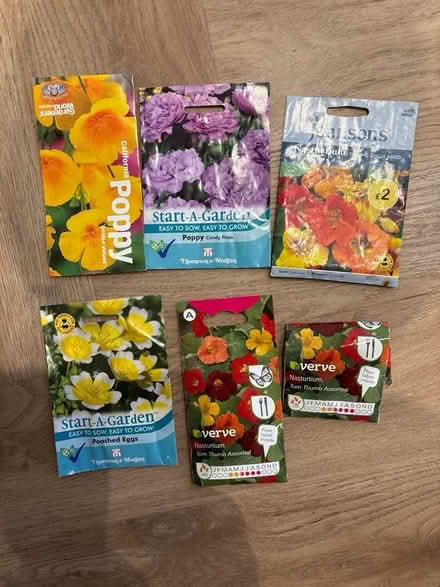 Photo of free Seeds (Oxenholme LA9) #1