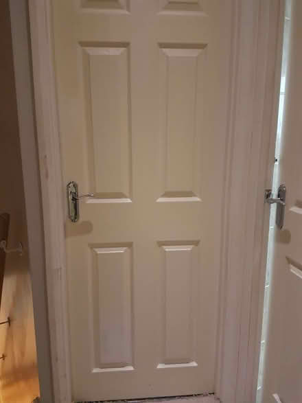 Photo of free Panel doors x8 (Bowbridge GL5) #1
