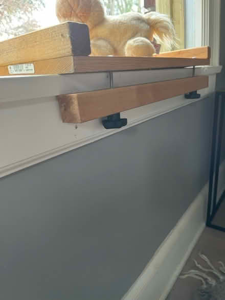 Photo of free Catio (Montlake) #2