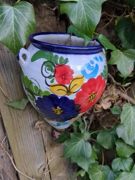 Photo of free Flowerpot that attaches to a fence (Harringay Ladder N8) #1