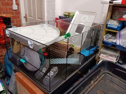 Photo of free hamster cage, food, accessories (Bournville B30) #1