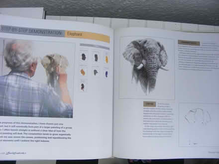Photo of free Painting with David Shepherd hardback book (Carbis Bay TR26) #2