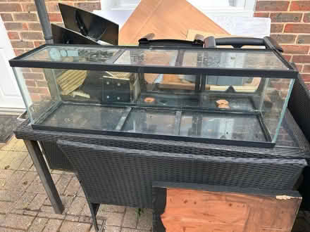 Photo of free Fish/mouse tank (Worthing BN11) #1