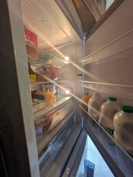 Photo of free Fridge freezer (Fiddler's Green GL51) #3