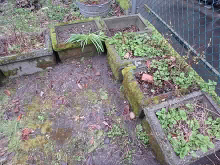 Photo of free Garden Containers (Interbay/Queen Anne) #2