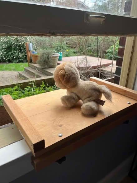 Photo of free Catio (Montlake) #1