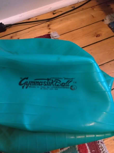Photo of free Exercise/Gymnastic Ball (Daisy Hill BD9) #1