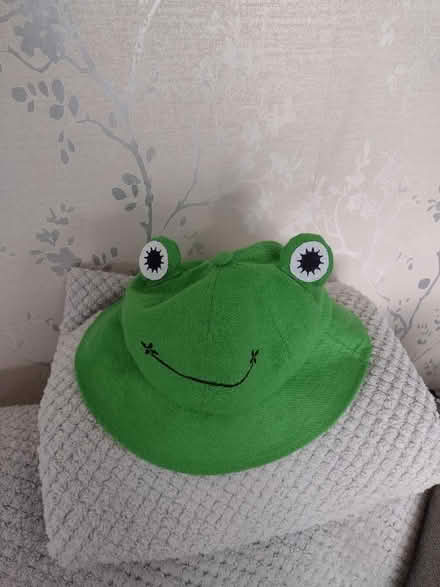Photo of free Frog hat (Ashton-U-Lyne OL6) #1