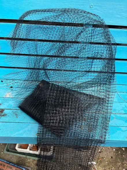 Photo of free Roll of garden netting (St Leonards TN38) #1