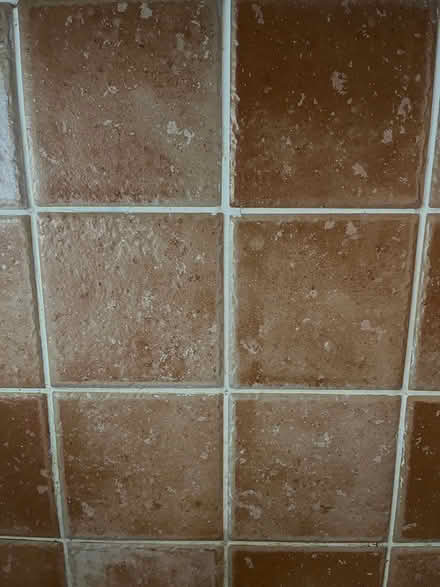Photo of free Tiles (Shankill) #2