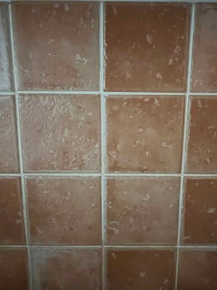 Photo of free Tiles (Shankill) #3