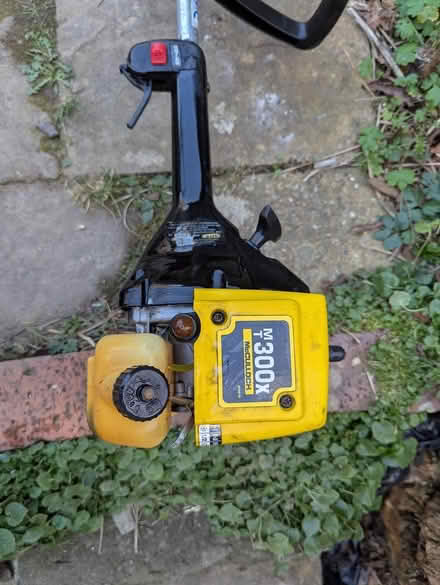 Photo of free strimmer and hedgetrimmer (Rudgwick) #1