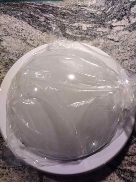 Photo of free Ceiling light (Old Town TN40) #1