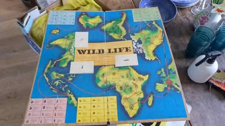 Photo of free Wildlife board game (Larkhall Bath) #1
