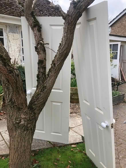 Photo of free Two panelled doors (OX4 Iffley) #3