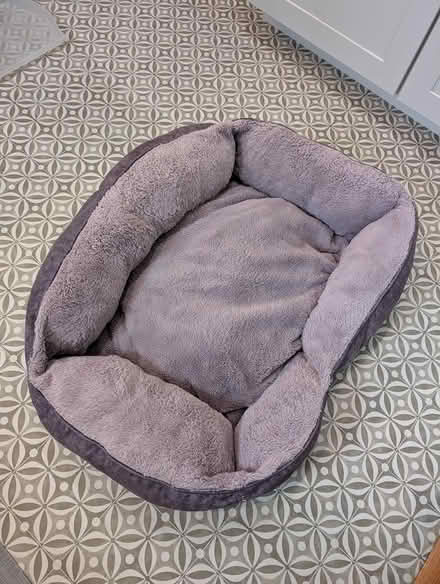Photo of free Purple/grey dog bed (20910) #1