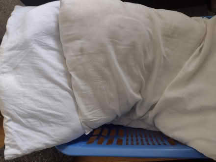 Photo of free Pillows (Ashton-U-Lyne OL6) #1