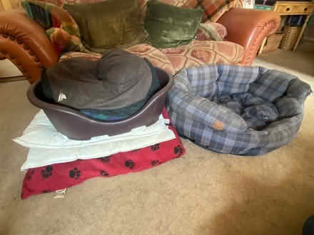 Photo of free Dog beds (Great Kingshill HP15) #1