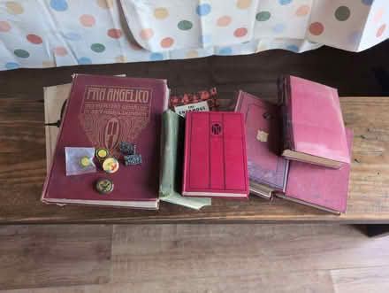 Photo of free carrier bag of old books + pin badges (Heathfield Village OX5) #1