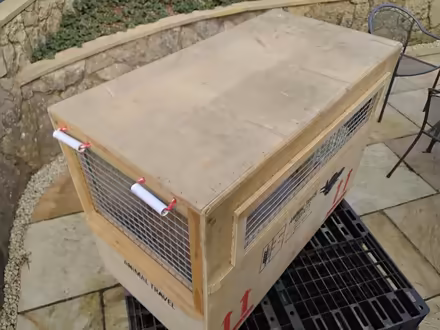Photo of free Animal travel crate (Welwyn AL6) #4