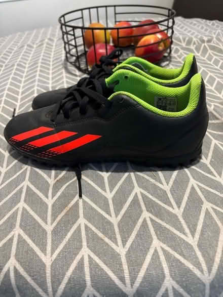 Photo of free Astro Turf trainers uk4 (Katherines CM19) #1