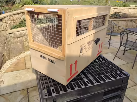 Photo of free Animal travel crate (Welwyn AL6) #1