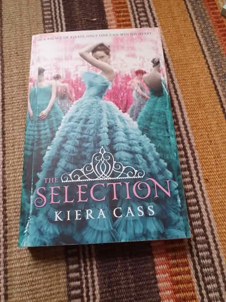 Photo of free Book, young adult fiction (BS16) #1