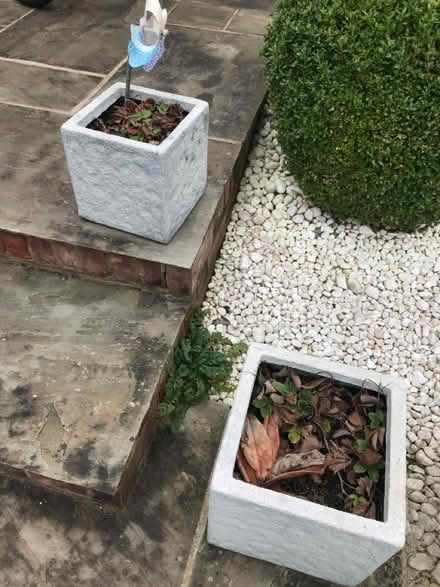Photo of free Garden Containers (Ware SG12) #2