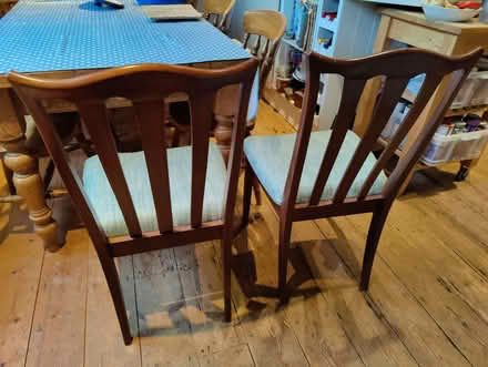 Photo of free Pair of dining chairs (Hurstpierpoint BN6) #3