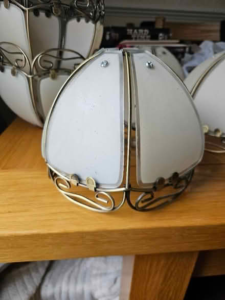 Photo of free Ceiling light shades (Becontree RM9) #1