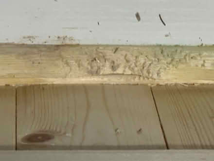 Photo of free Hamster cage (High Wycombe HP12) #4