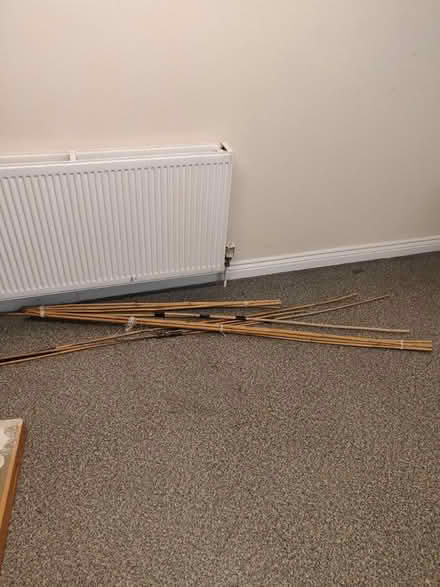 Photo of free Bamboo canes (New Barnet EN4) #1