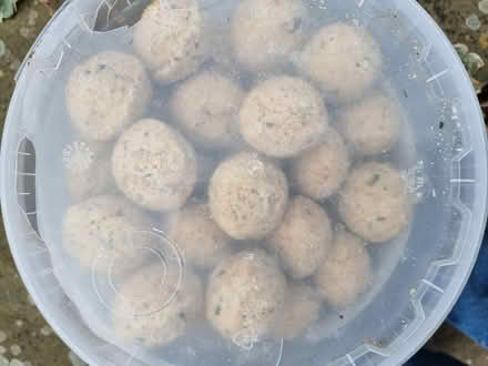Photo of free Bird fat balls (Lower Walkley S6) #2