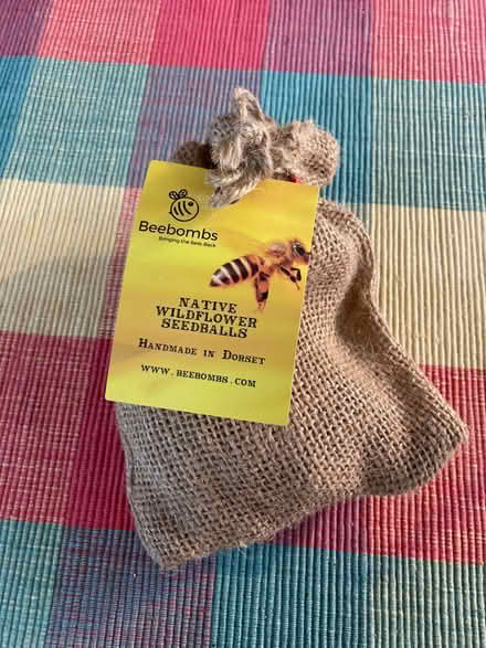 Photo of free Bee bombs - wild flower seeds (Hereford HR1) #1