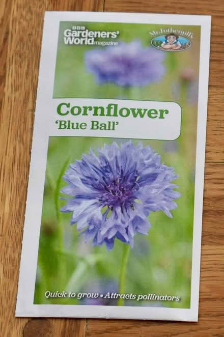 Photo of free Cornflower "blue ball" seeds (Hatfield AL10) #1