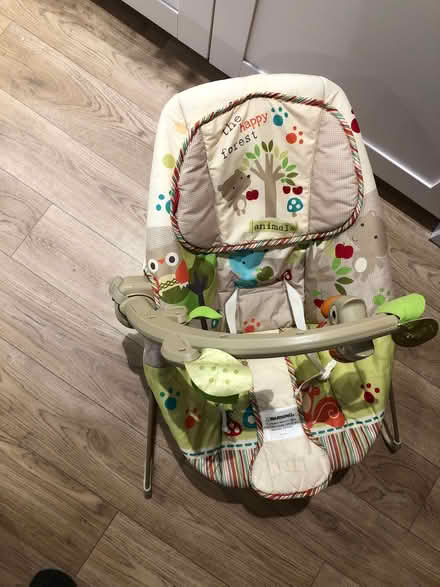 Photo of free Baby Bouncer (Weston) #1