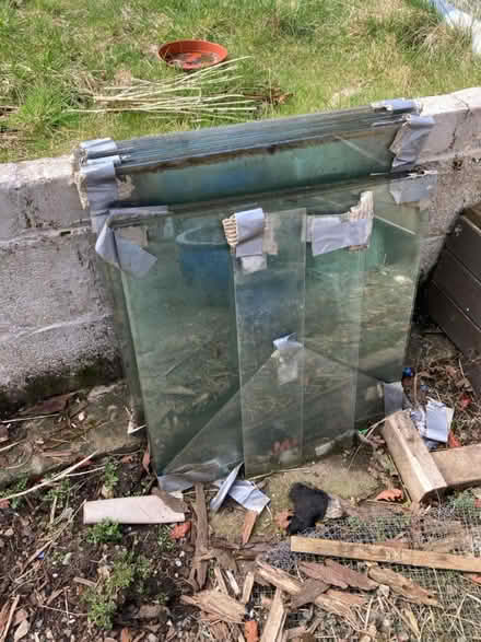 Photo of free Greenhouse Glass (Trawsfynydd LL41) #1