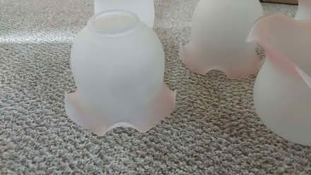 Photo of free Glass lampshades (Pokesdown BH6) #3
