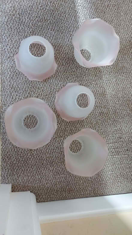 Photo of free Glass lampshades (Pokesdown BH6) #2